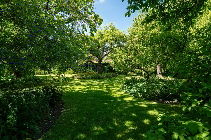 Photo 52 of Tsjerkeleane 1