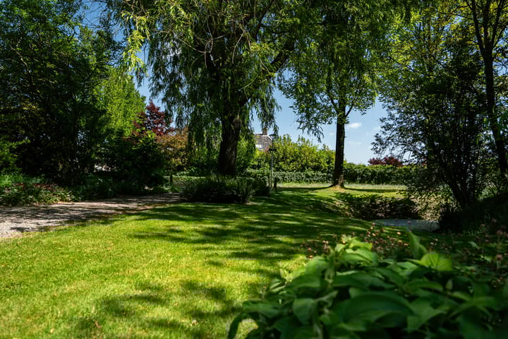 Photo 61 of Tsjerkeleane 1