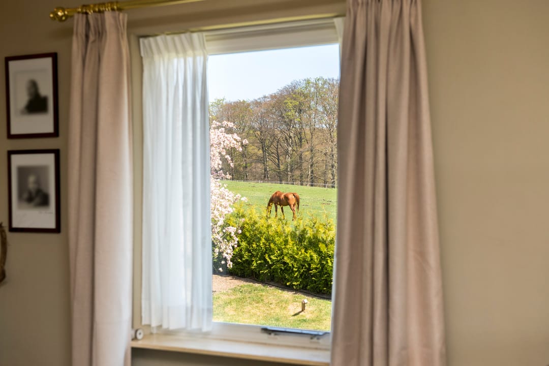 Foto 17 van Kleiberglaan 3