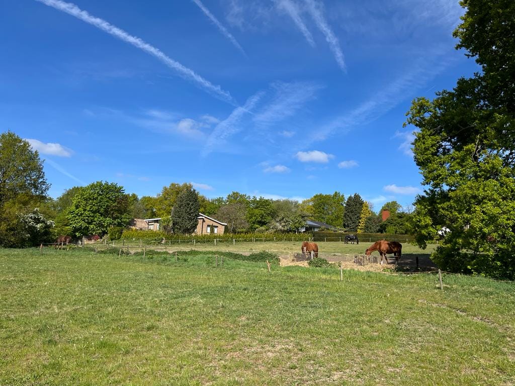 Foto 3 van Kleiberglaan 3