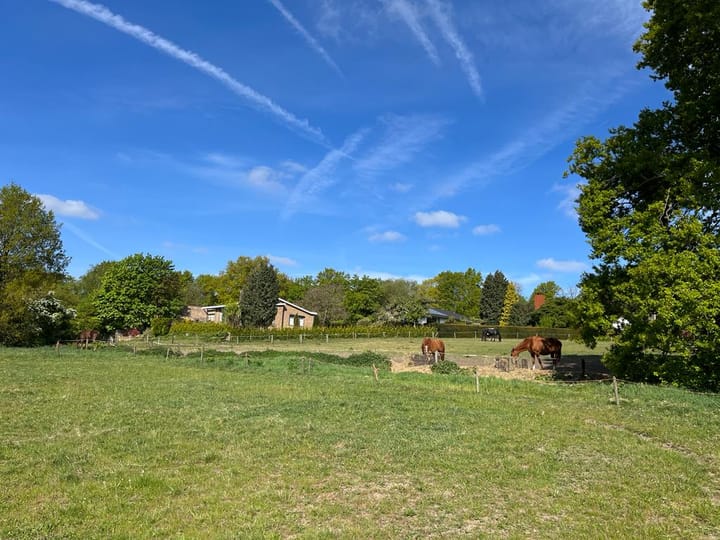 Foto 3 van Kleiberglaan 3