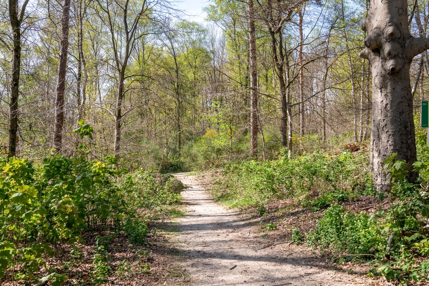 Foto 49 van Kleiberglaan 3