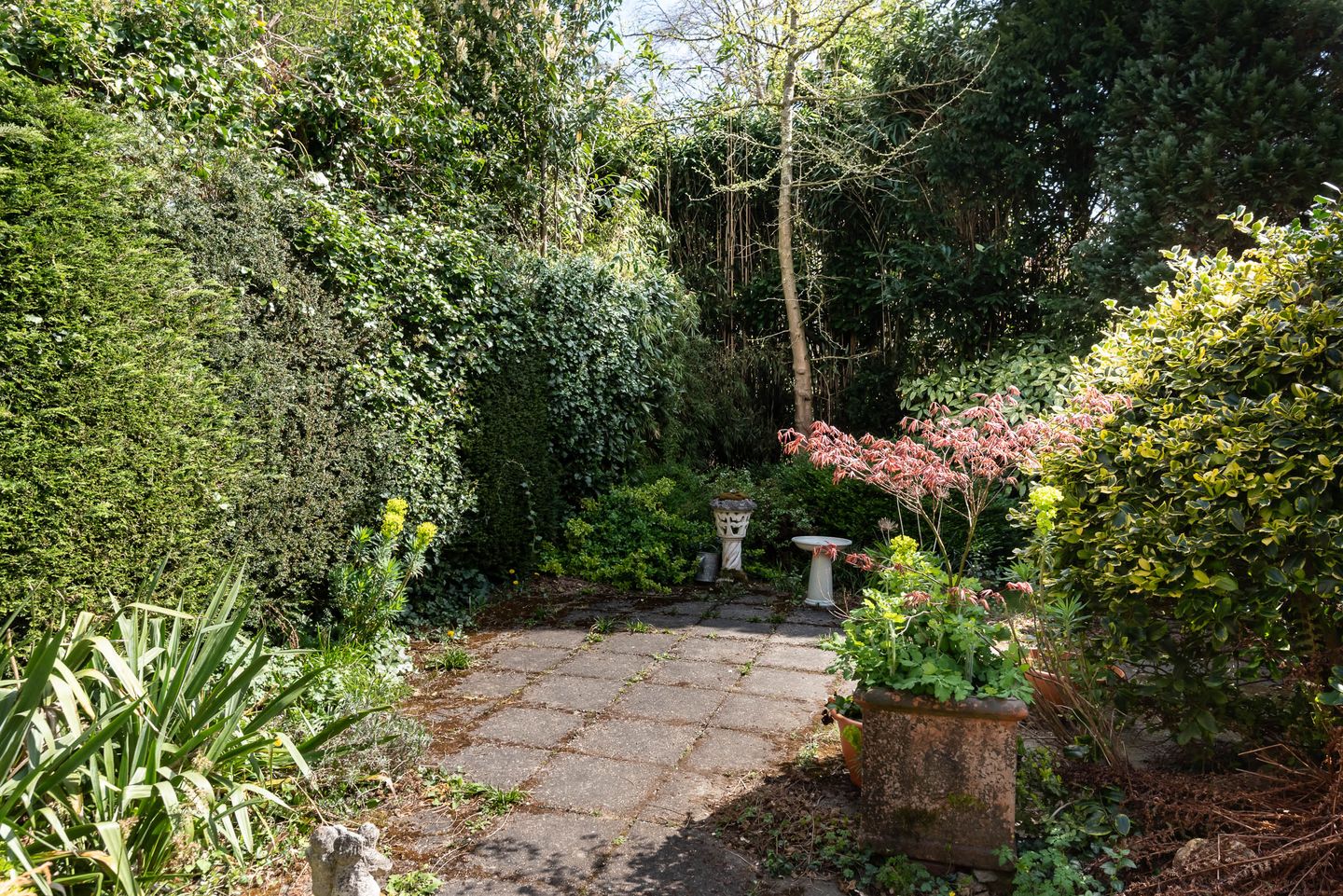 Foto 20 van Jozef Israëlsweg 9