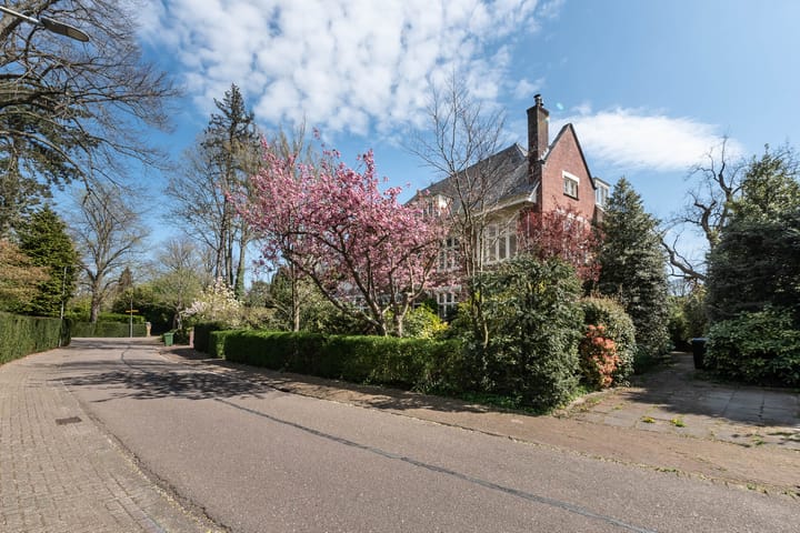 Foto 49 van Jozef Israëlsweg 9