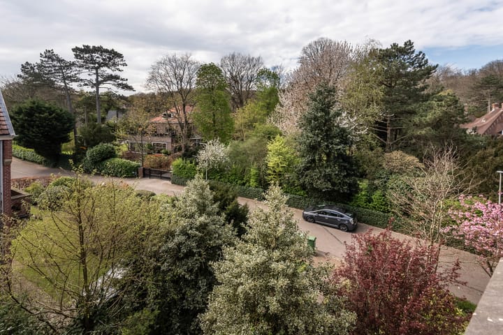 Foto 50 van Jozef Israëlsweg 9