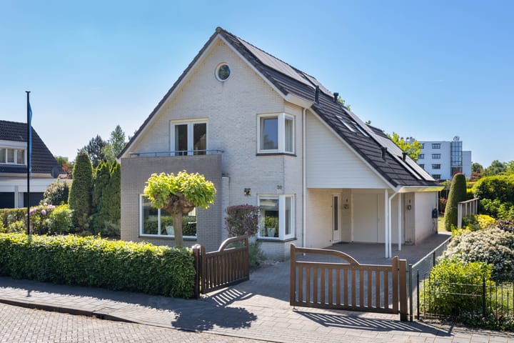 Boerhaavelaan 36