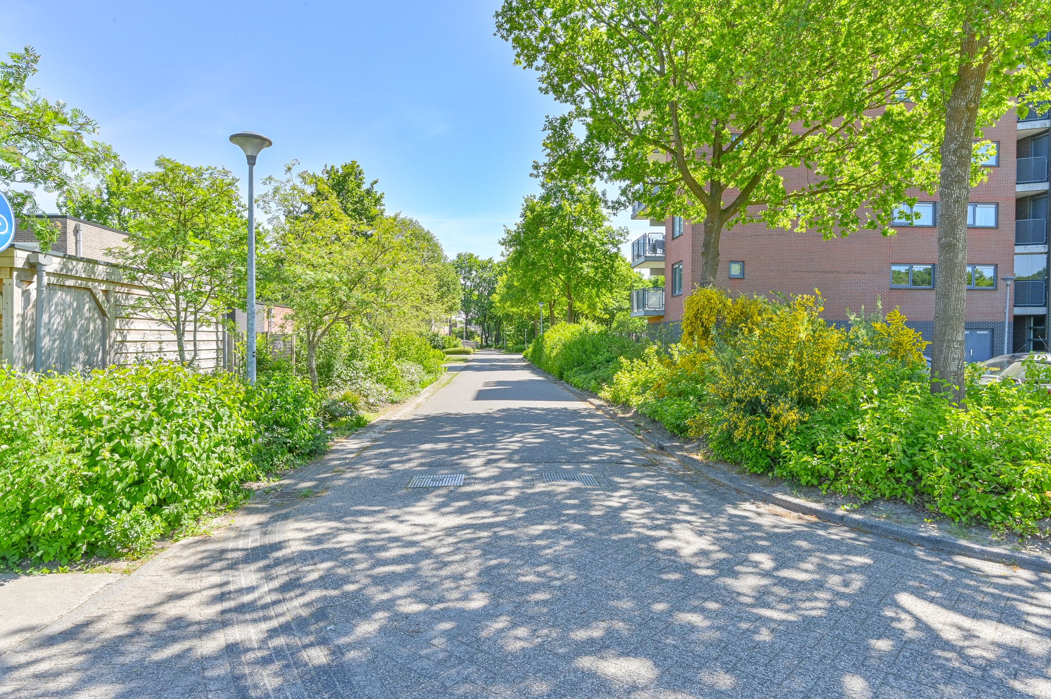 Foto 51 van Uilenveld 119