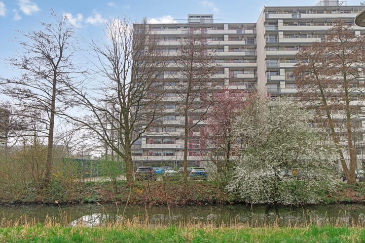 Foto 5 van Dotterlei 741