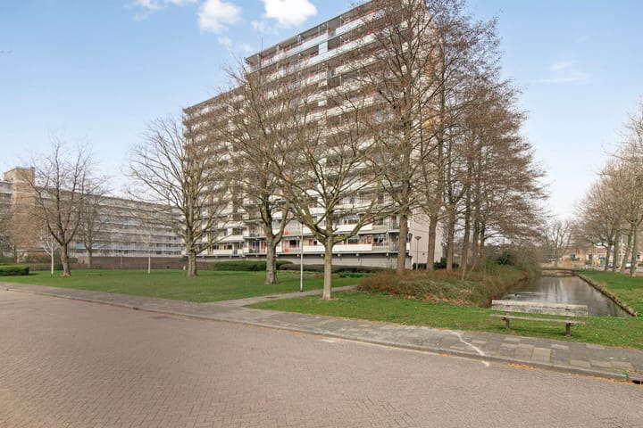 Photo 6 of Dotterlei 741