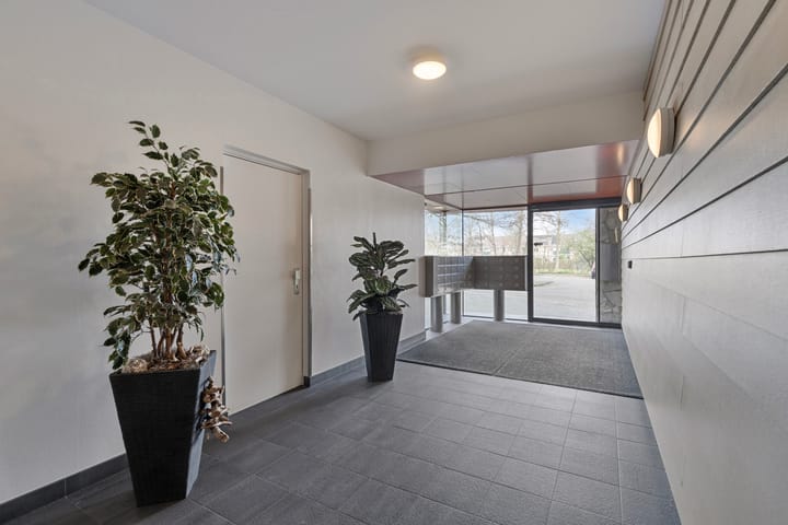 Photo 8 of Dotterlei 741