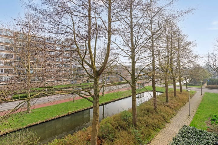 Photo 28 of Dotterlei 741