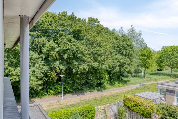 Photo 22 of Zuiderzeepark 82