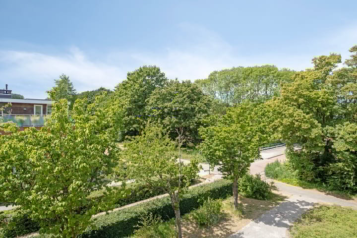 Photo 28 of Zuiderzeepark 82