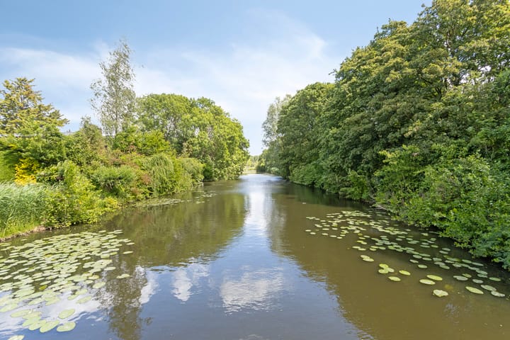 Photo 34 of Zuiderzeepark 82