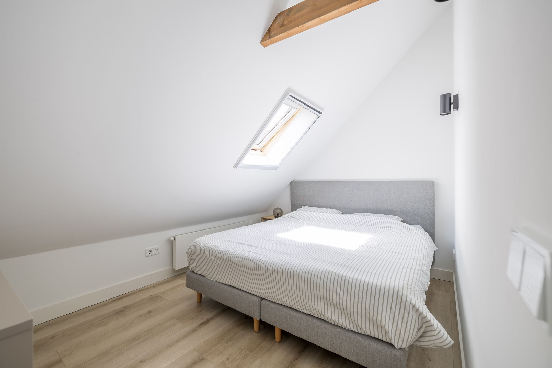 Foto 18 van Dirck Raphaëlsz Camphuysenstraat 29