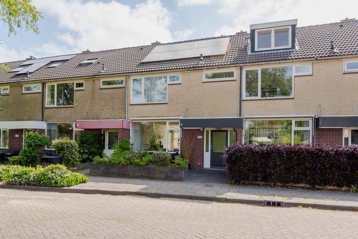 undefined main image