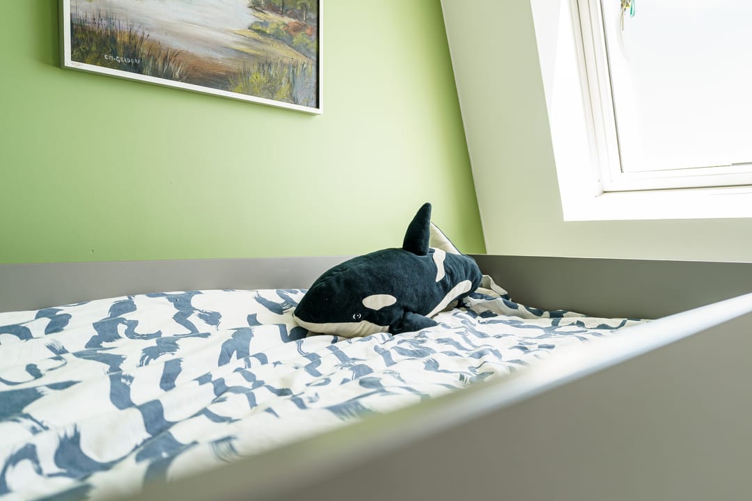 Photo 37 of Generaal Bothastraat 116