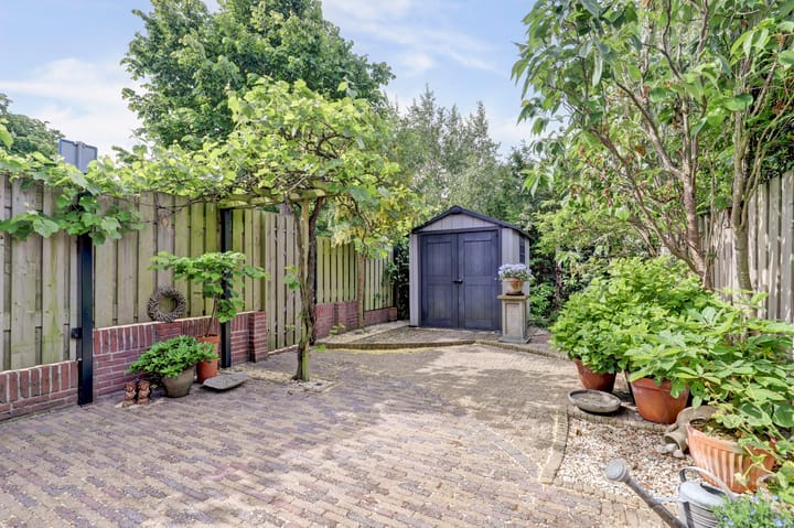 Photo 20 of Zeearend 24