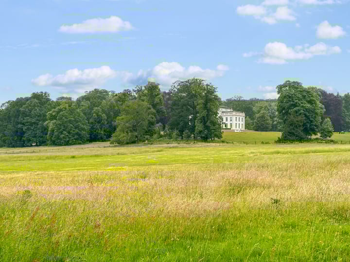 Foto 34 van De Wiltstraat 33