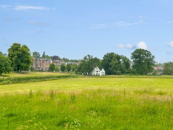 Foto 35 van De Wiltstraat 33