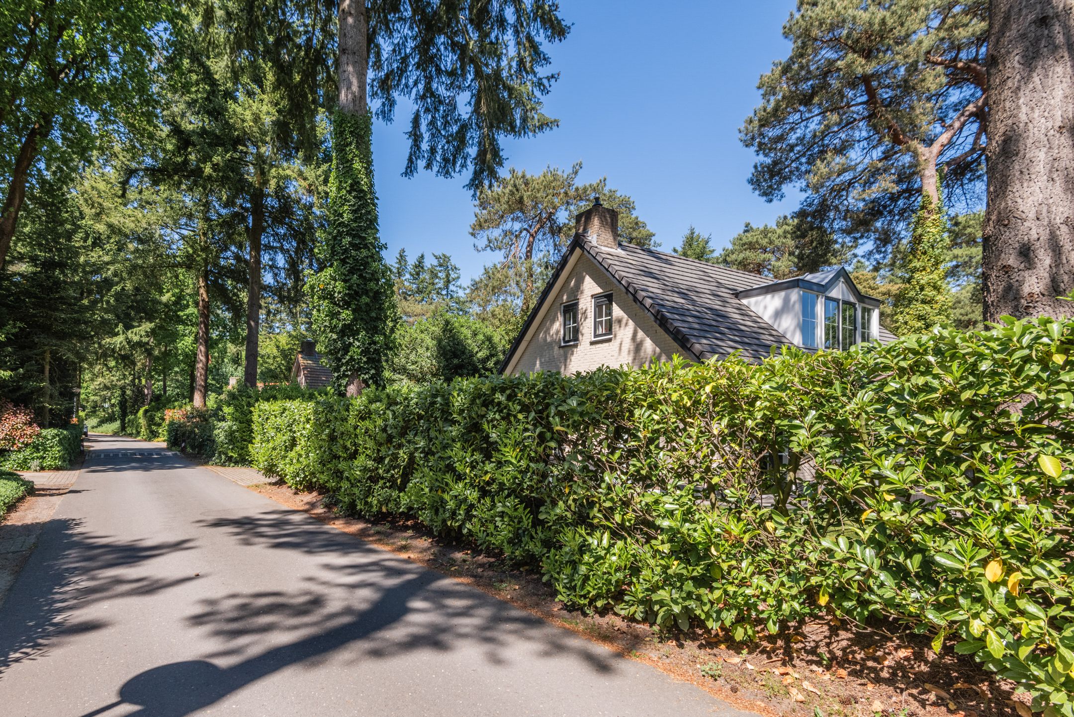 Photo 45 of Korhoenlaan 1-72