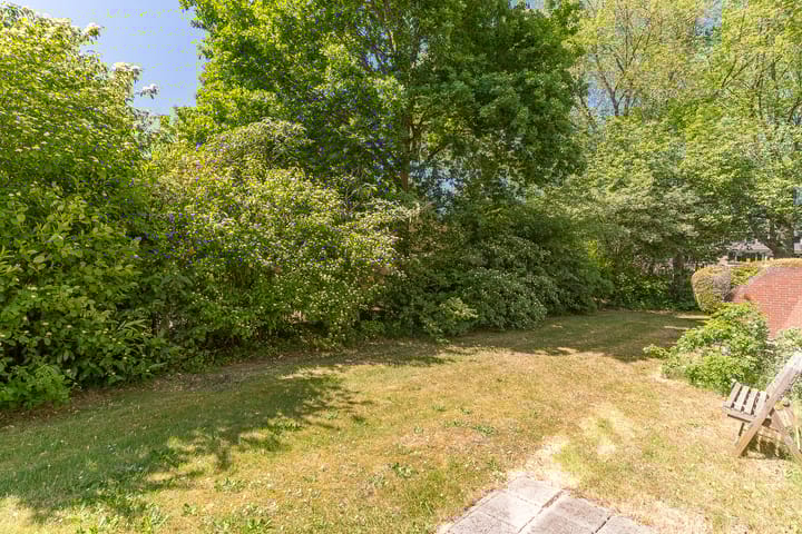 Foto 31 van Treubstraat 107