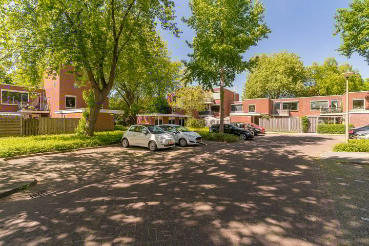 Foto 41 van Treubstraat 107