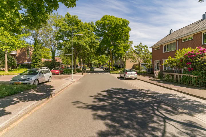 Foto 42 van Treubstraat 107