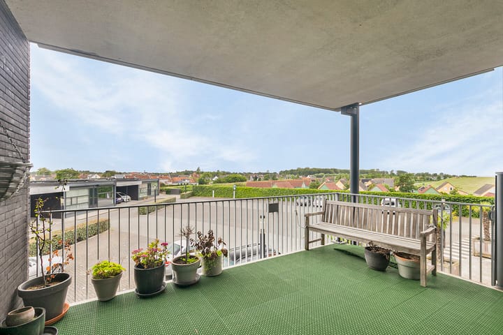 Photo 22 of 't Scheld 38