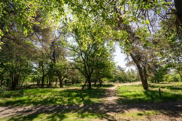 Foto 23 van Kerkendelweg 30-39