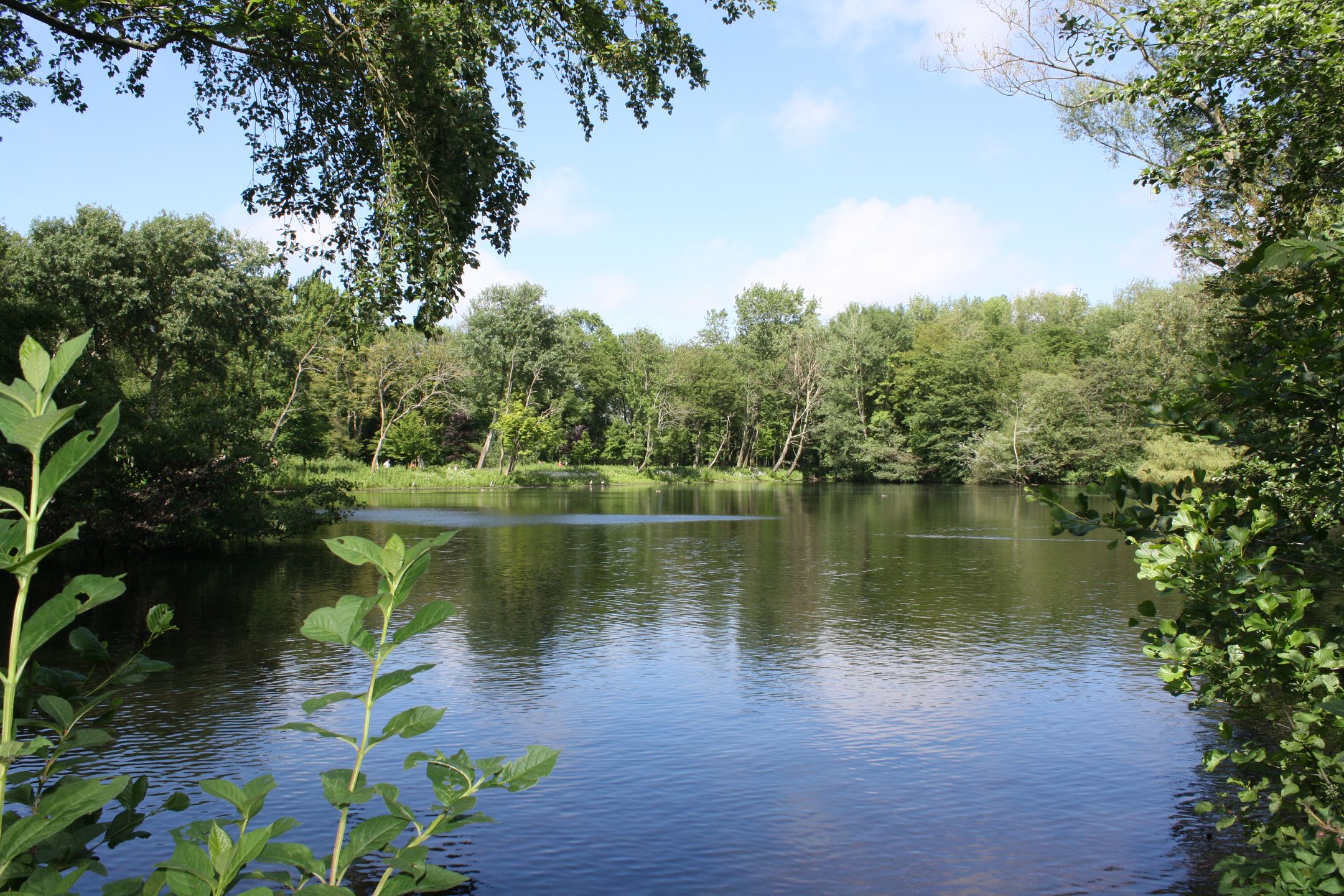 Photo 42 of Laan van Meerdervoort 1754