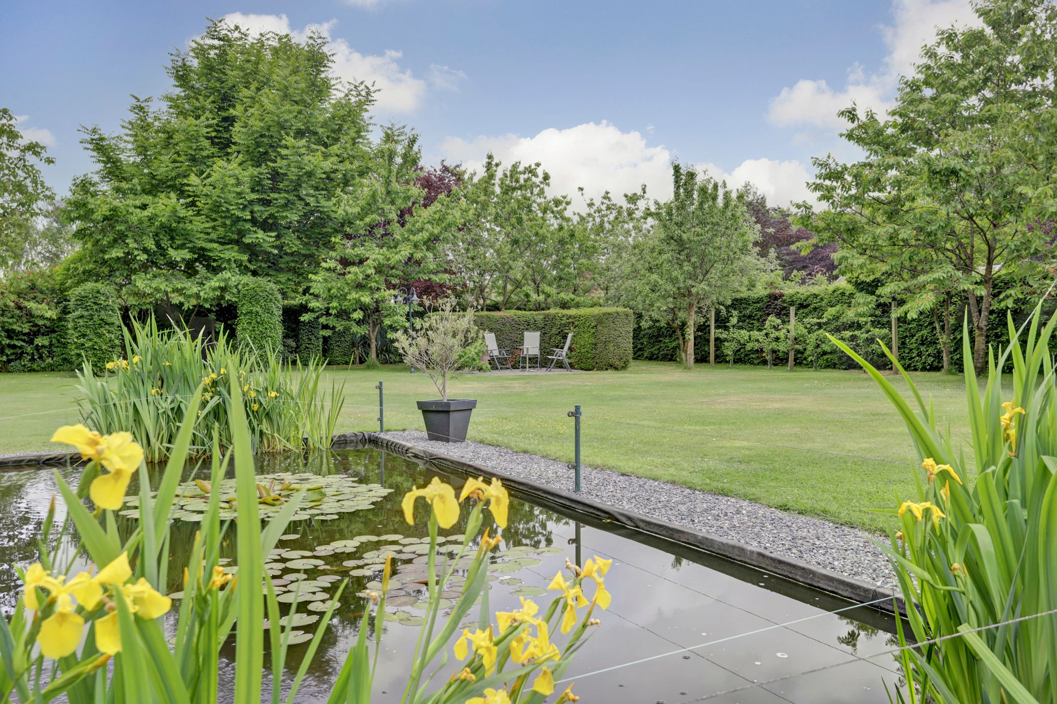 Foto 42 van Baarschotsestraat 50-A