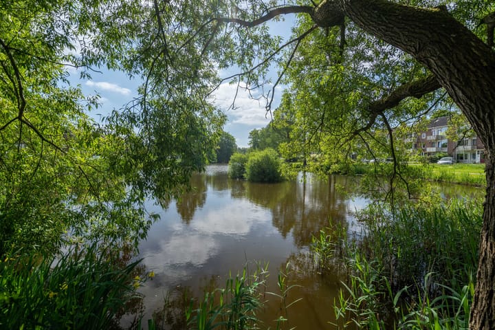 Foto 28 van Buizerdstraat 18