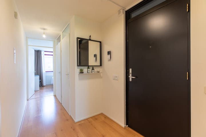 Foto 5 van Sphinxlunet 48-D