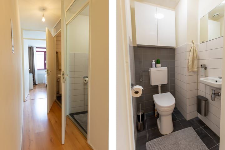 Foto 6 van Sphinxlunet 48-D