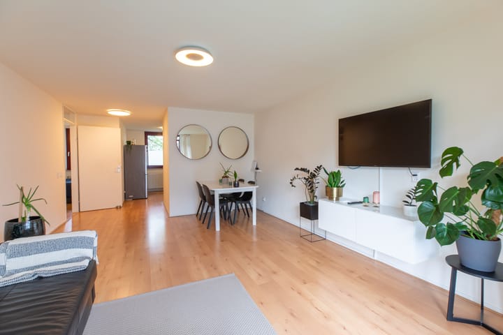 Foto 7 van Sphinxlunet 48-D