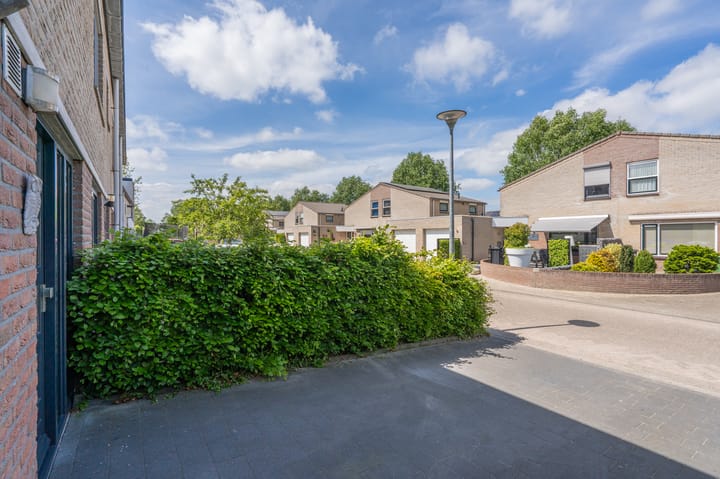 Foto 12 van Marterslag 3