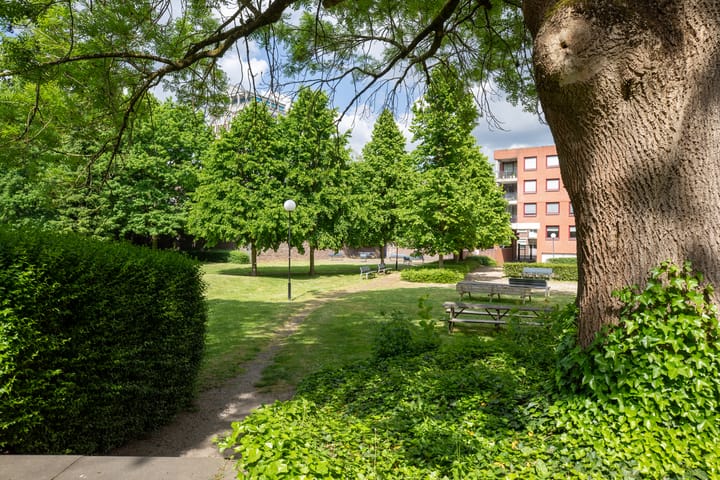 Foto 22 van Sphinxlunet 48-D