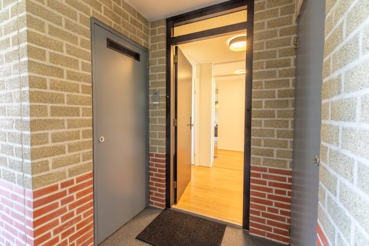 Foto 25 van Sphinxlunet 48-D