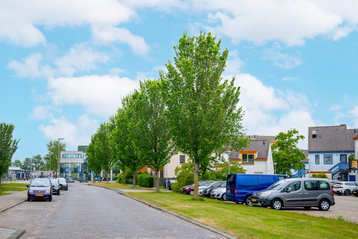 Foto 21 van Orion 19