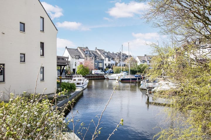 Foto 22 van Orion 19