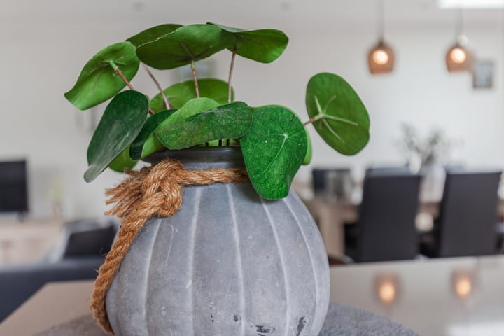 Foto 15 van Wilhelminastraat 45