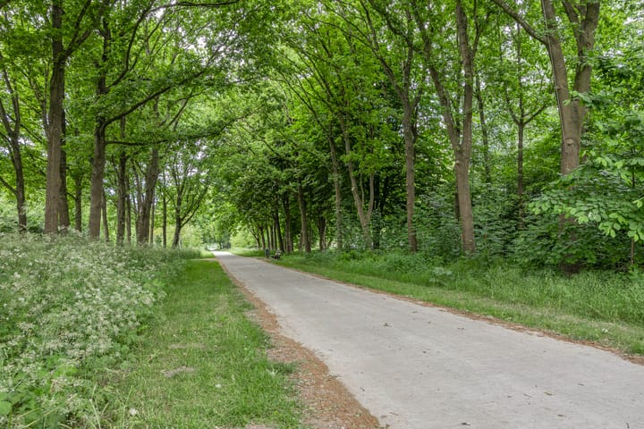 Photo 33 of Lisdoddepad 1