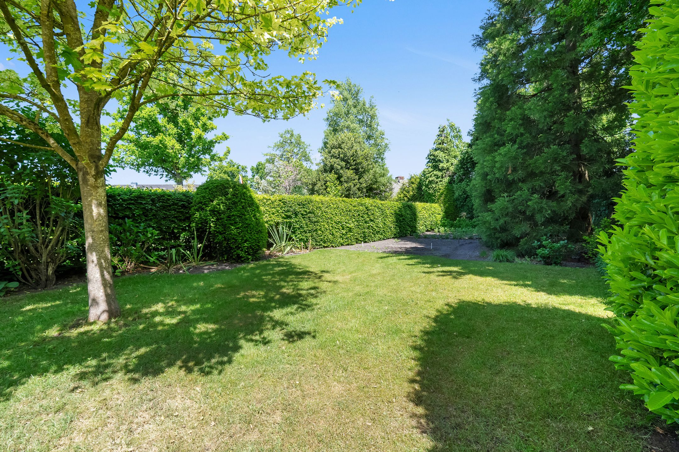 Foto 33 van Rijssensestraat 261