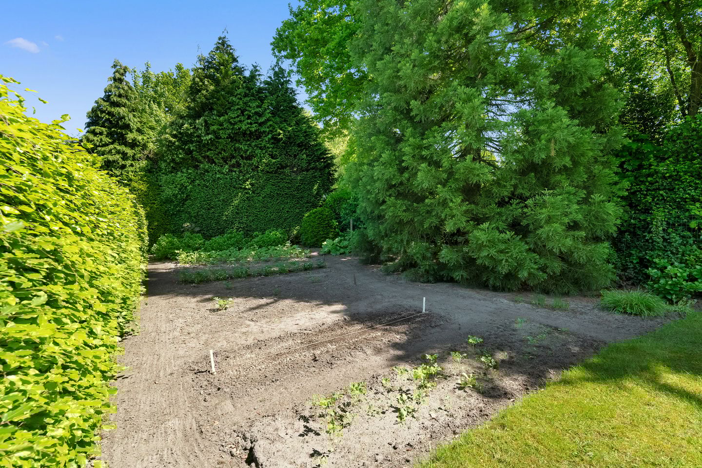 Foto 34 van Rijssensestraat 261