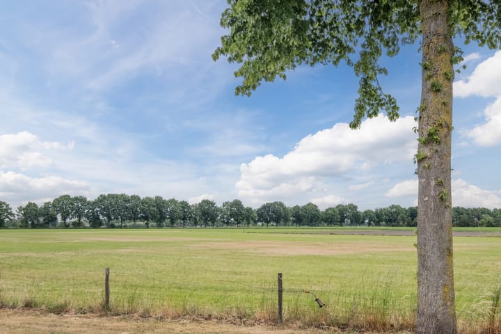 Foto 37 van Weegbree 62