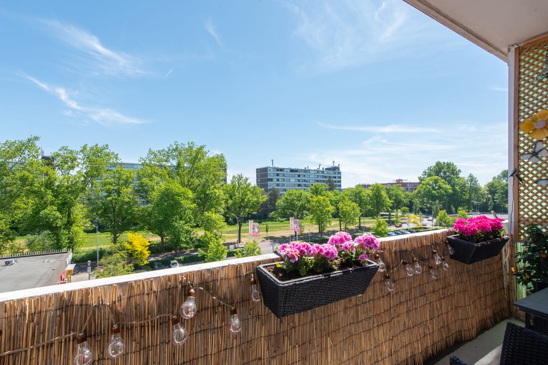 Foto 23 van Van Ostadelaan 416