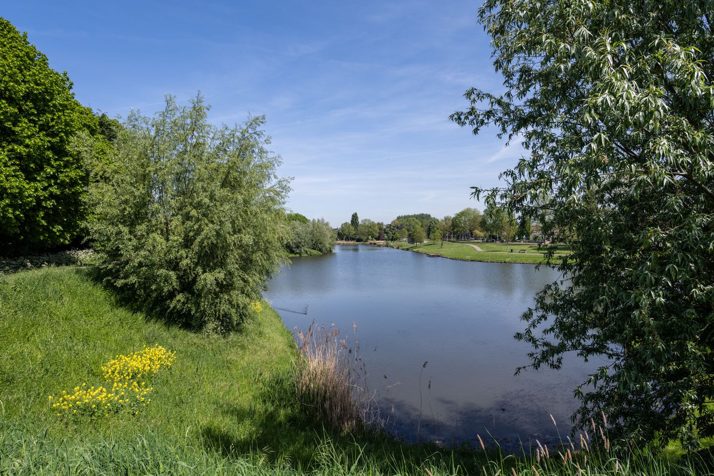 Photo 79 of Opzoomerlaan 116
