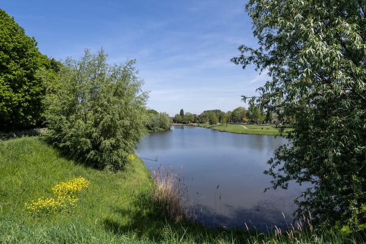 Foto 79 van Opzoomerlaan 116