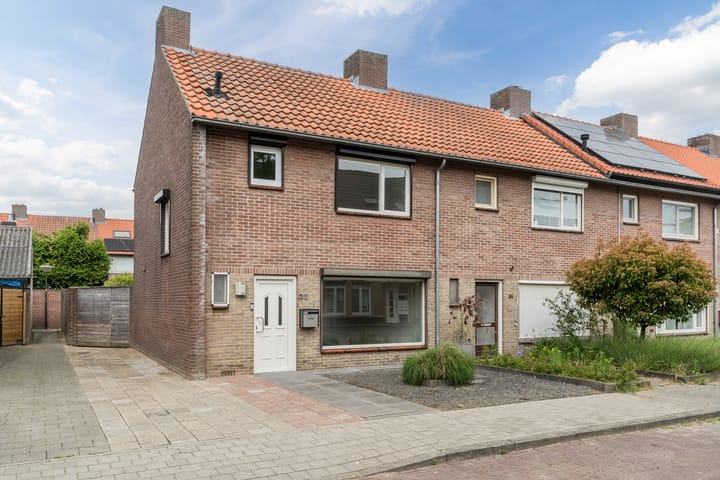 undefined main image